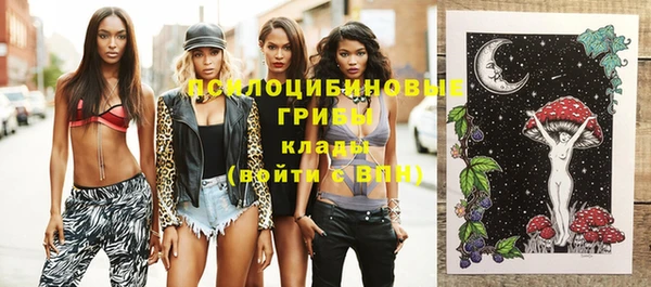 твердый Алексеевка