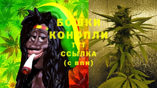 ешки Новозыбков